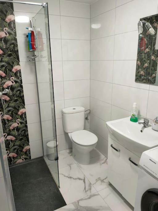 Apartament Flamingo Z Basenem Торрев'єха Екстер'єр фото
